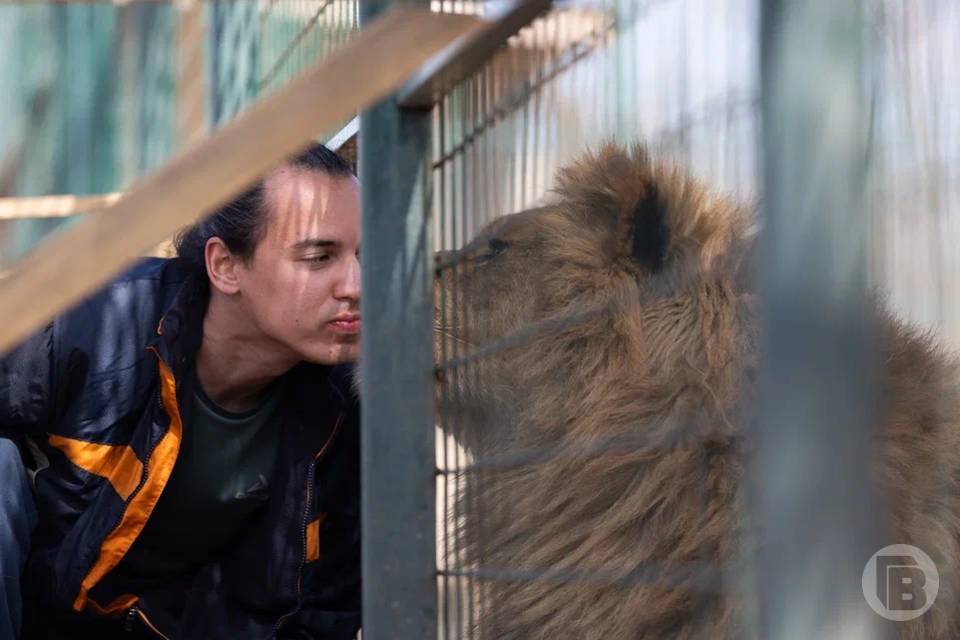 Зооцентр «Дино» приглашает волгоградцев на экскурсии