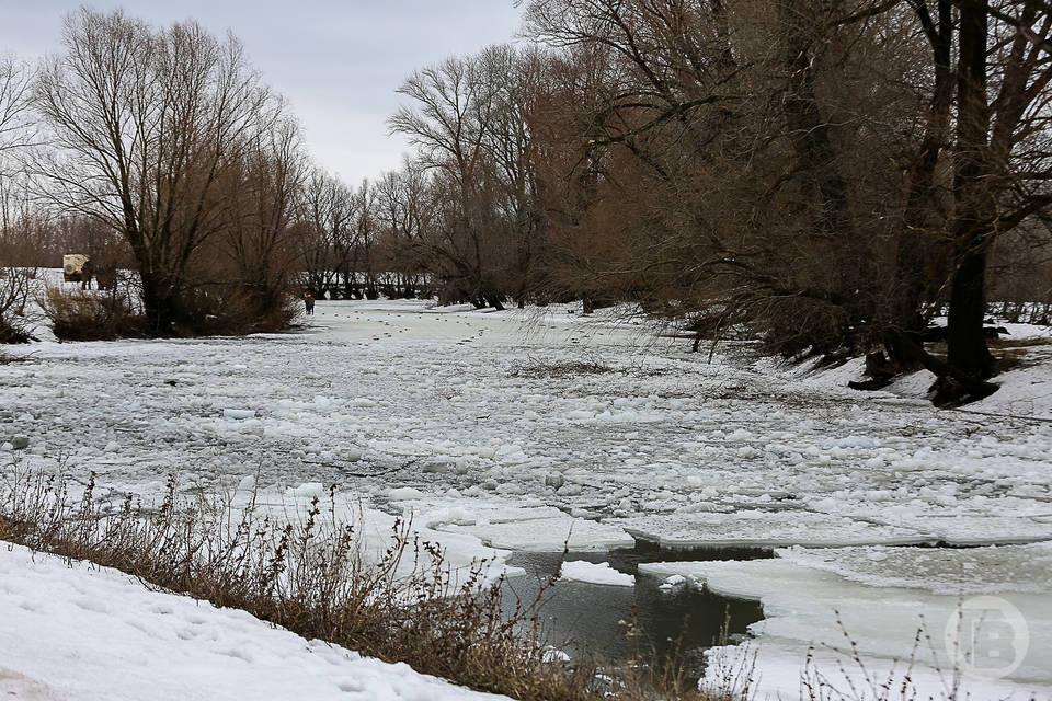 Поисковики «ЛизаАлерт» обучат новичков в Волгограде