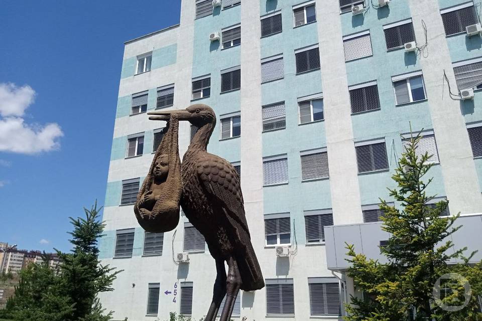 В перинатальном центре Волгограда изменился номер колцентра