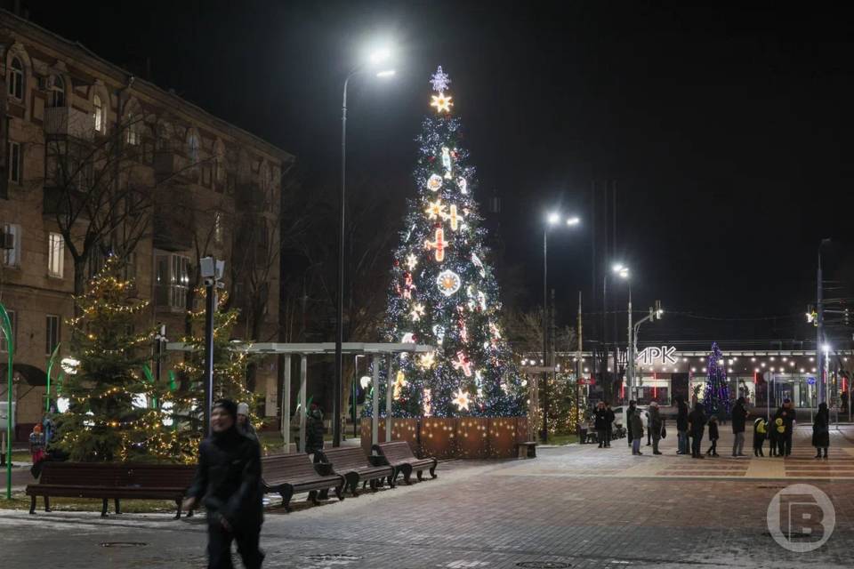 Новогодняя ель Волгограда борется за победу в федеральном конкурсе