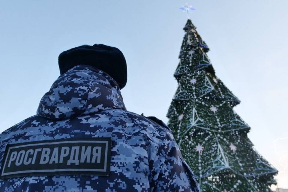 Более 800 раз выезжали по тревоге волгоградские росгвардейцы в праздники