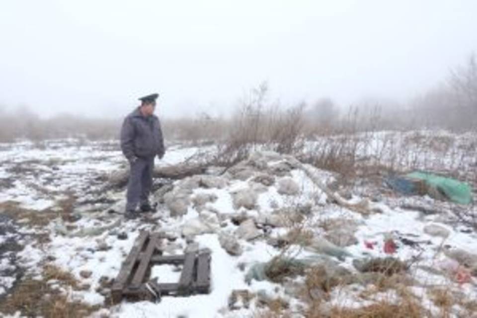 Огромную свалку заметили под Волгоградом