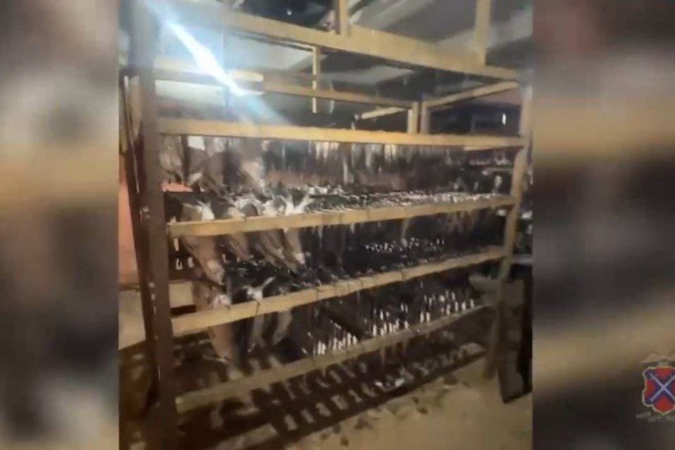 В Волгограде закрыли нелегальный цех по копчению и вялению рыбы