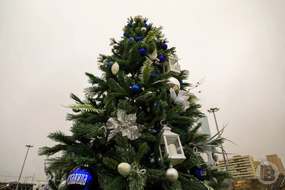 14, 16 или 22 января: волгоградцам назвали лучшие дни для уборки елки