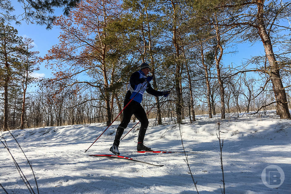 В Камышине пройдут соревнования для лыжников