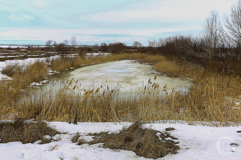 556 человек пропали без вести в Волгоградской области в 2025 году