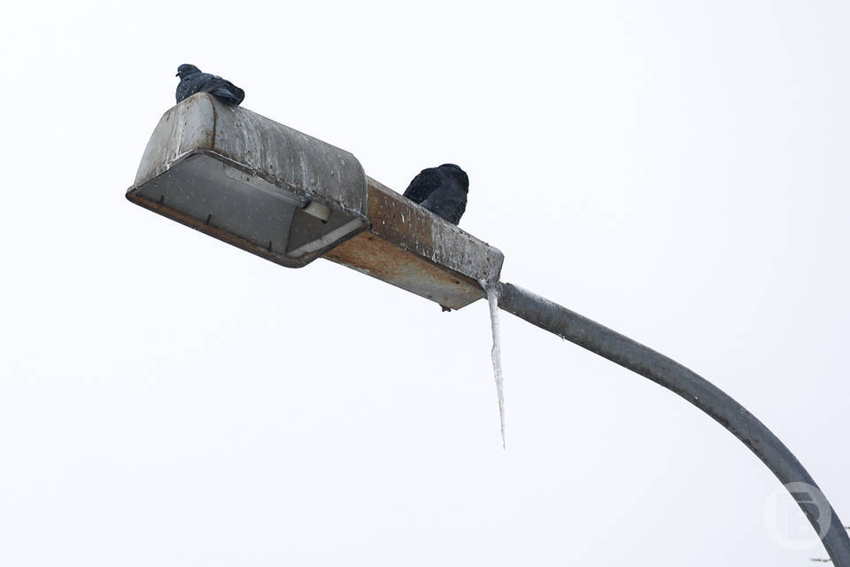 Волгоградские энергетики массово плавят лед на проводах