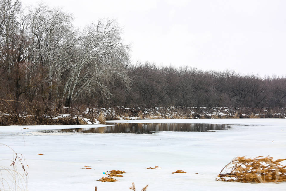 В 2025 году в Волгоградской области пропали 556 человек