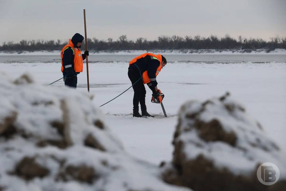 Приток воды до 195% нормы: что ждут от половодья на Волге