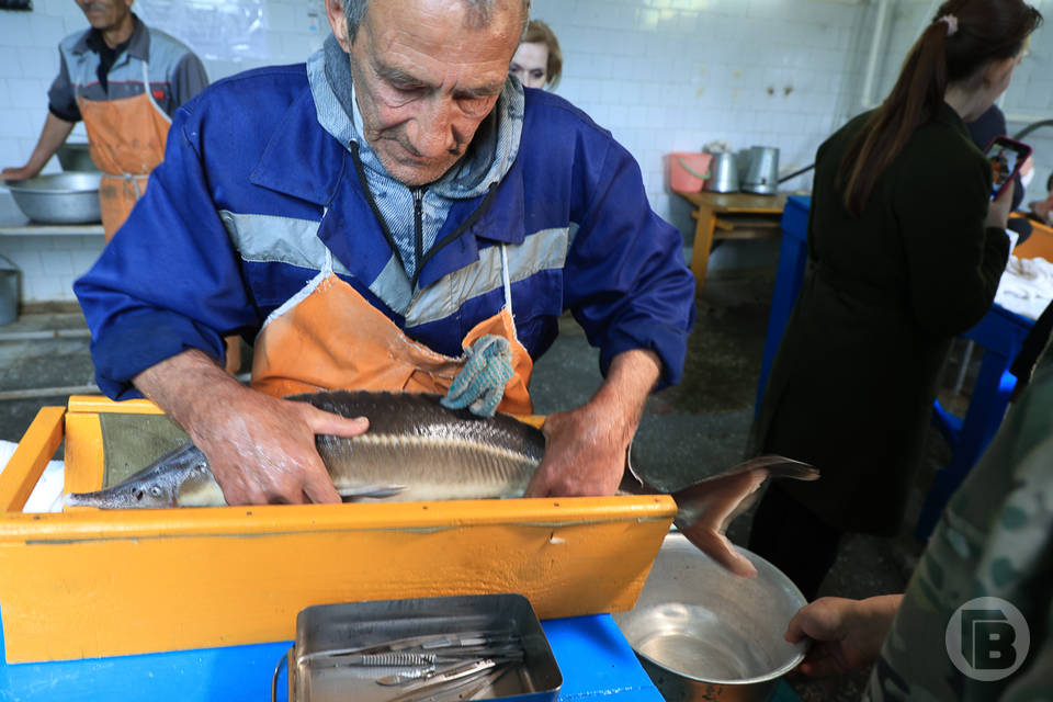 Самые востребованные рабочие специальности назвали волгоградцам