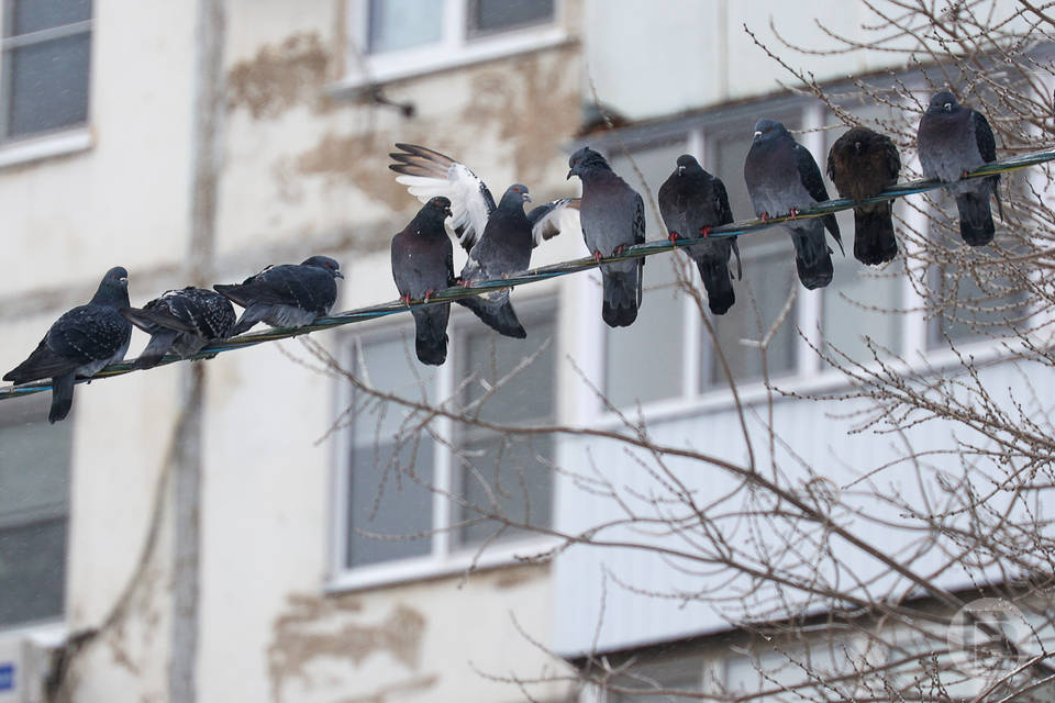 В Волгограде 20 января дали отбой беспилотной опасности