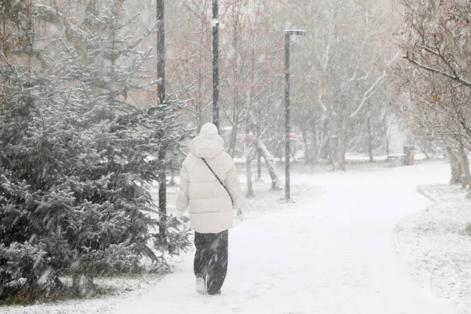 Снегопад начнется в 11 часов в Волгограде
