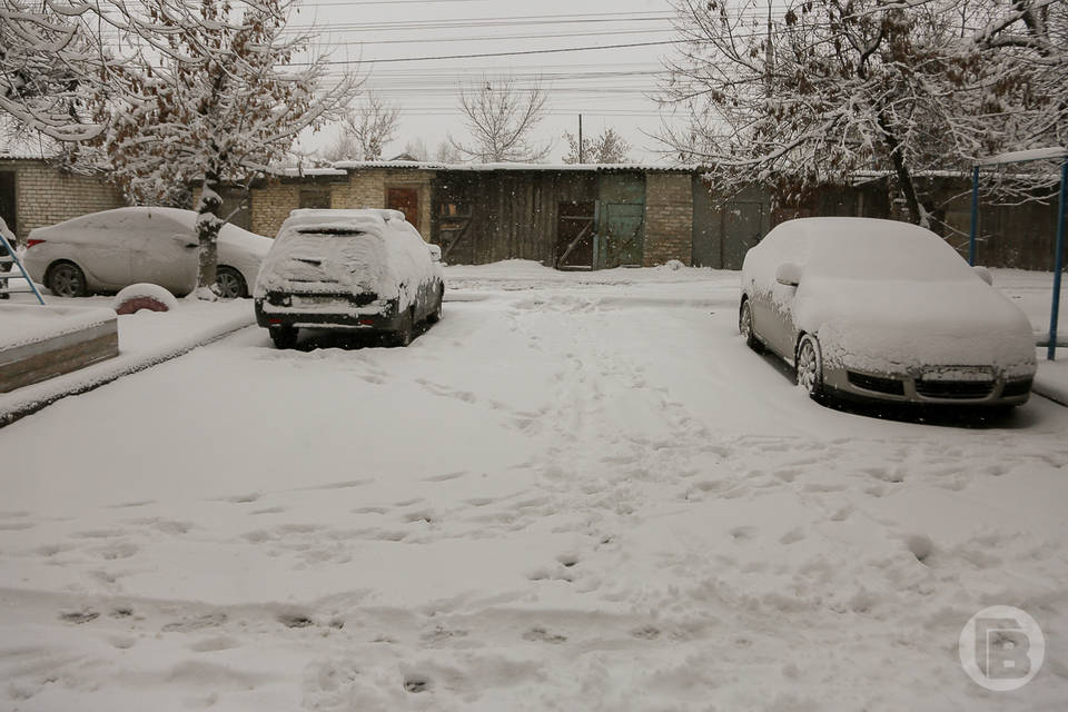 Все марки бензина и дизель подорожали на АЗС Волгограда