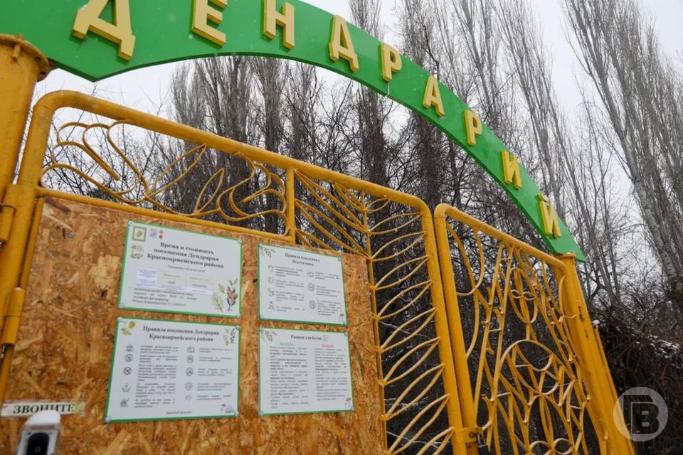 Дендрарий Красноармейского района Волгограда готовится к новому сезону