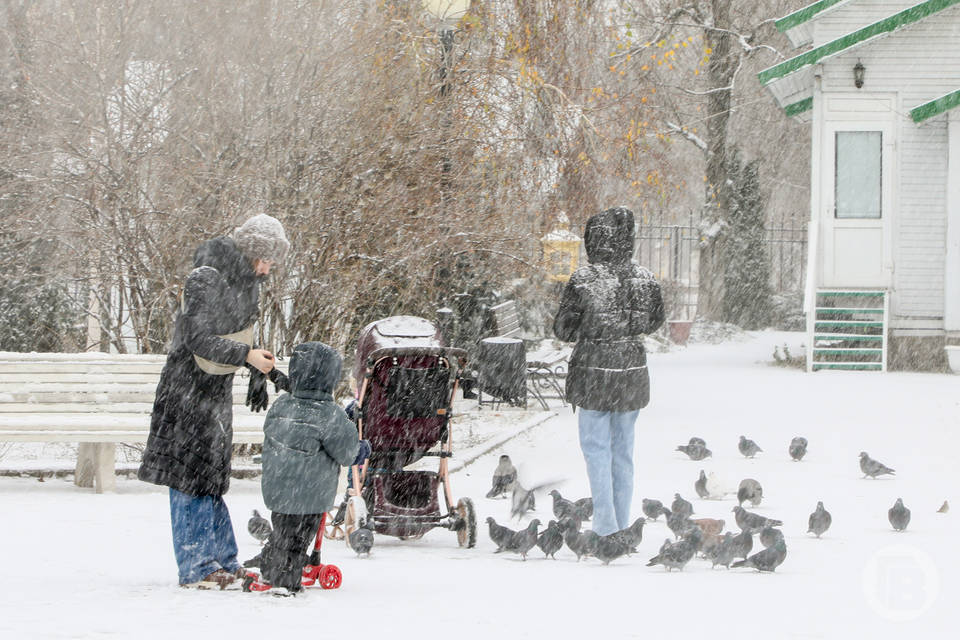 Волгоградцам с 1 февраля проиндексируют социальные выплаты