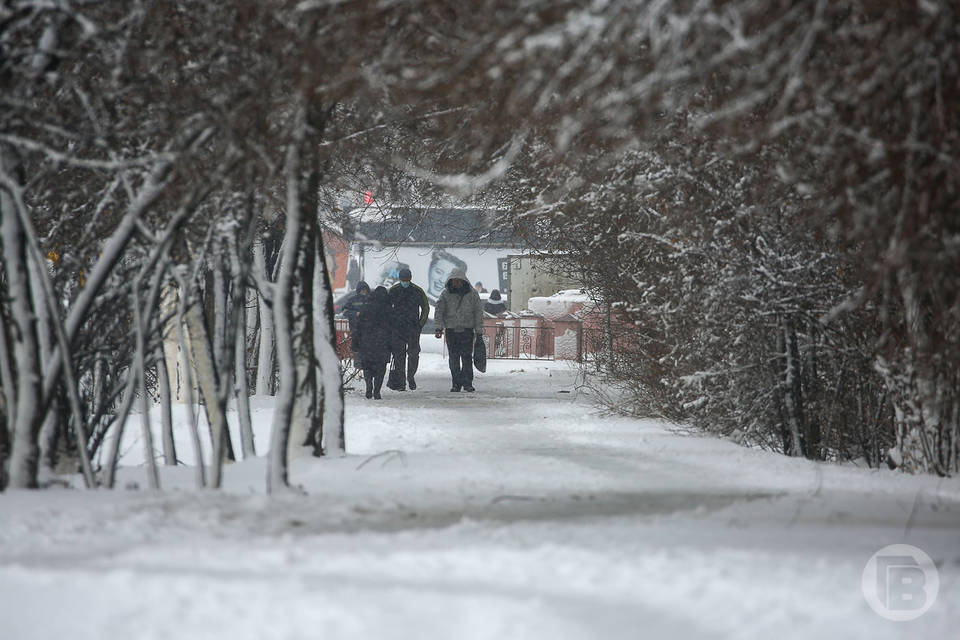 Лютый мороз до -28º идет на Волгоградскую область