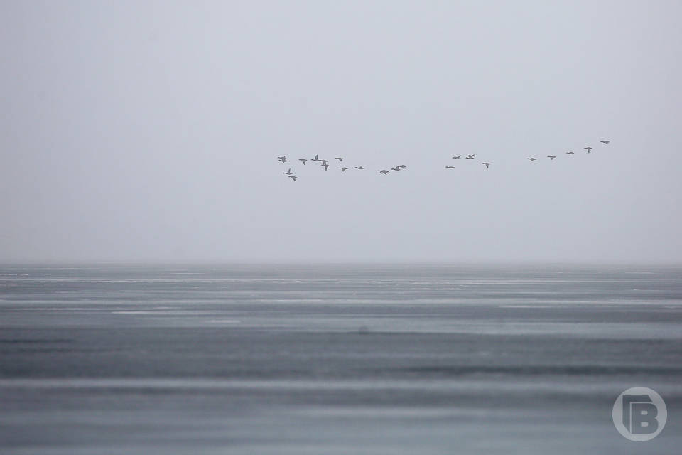 Украинские БПЛА пролетели мимо Волгоградской области