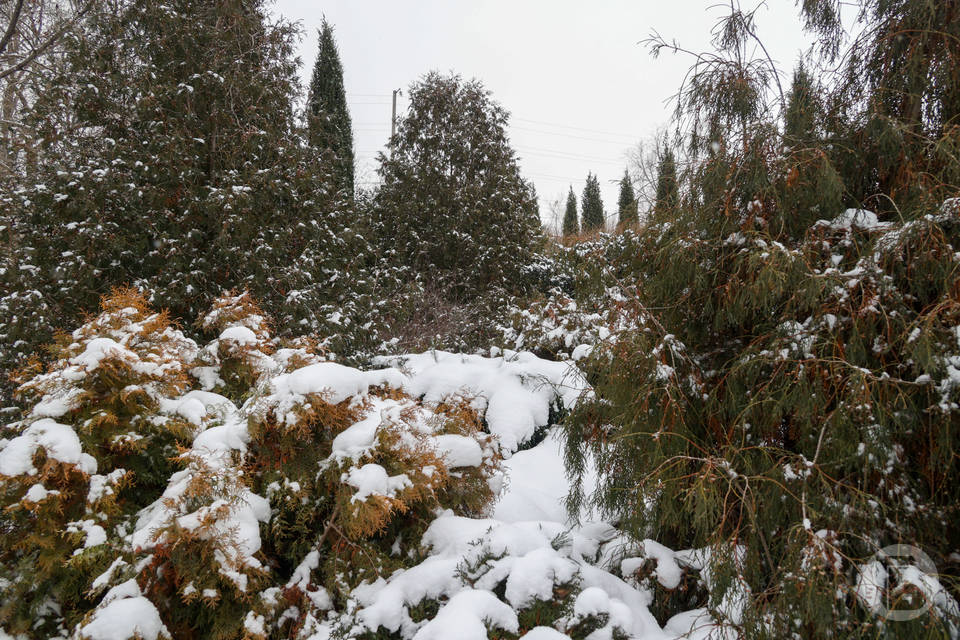 Волгоградцам пообещали спокойную геомагнитную обстановку