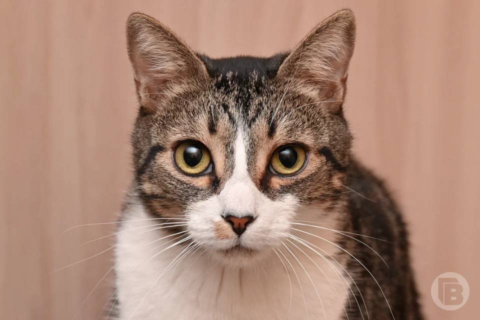 Что нельзя делать 26 января: приметы Ермилова дня