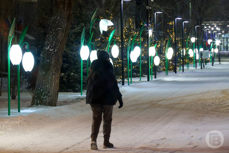 Морозы до 30 градусов ожидают волгоградцев 27 января