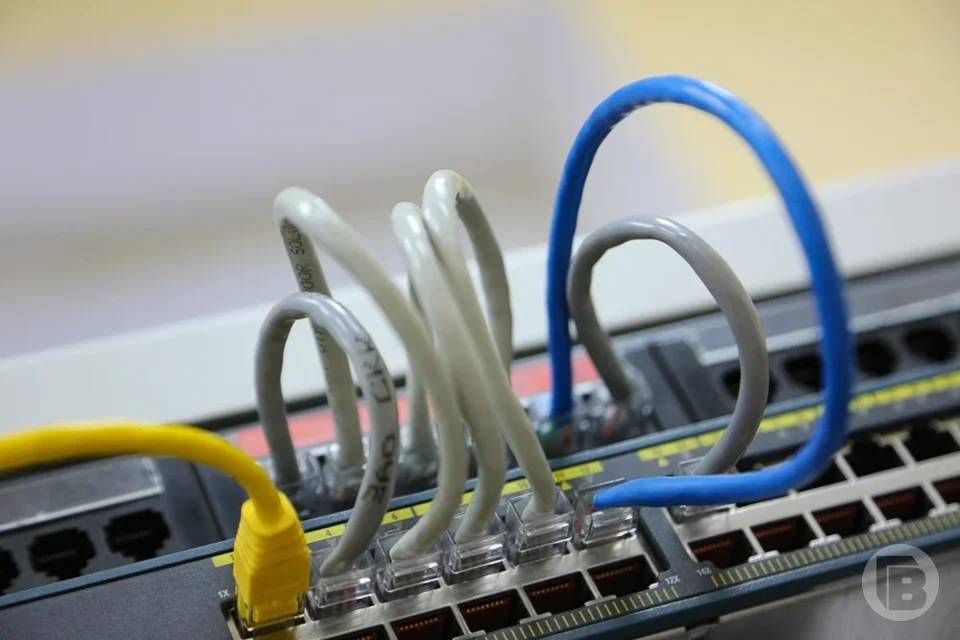 Как исправить ошибку и не потерять деньги при оплате за свет, рассказали волгоградцам