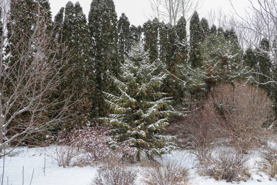 В Волгоградской области занялись пересчетом охотничьих животных