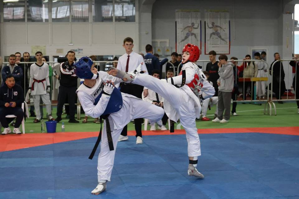 Два золота и серебро завоевали волгоградские тхэквондисты на первенстве ЮФО