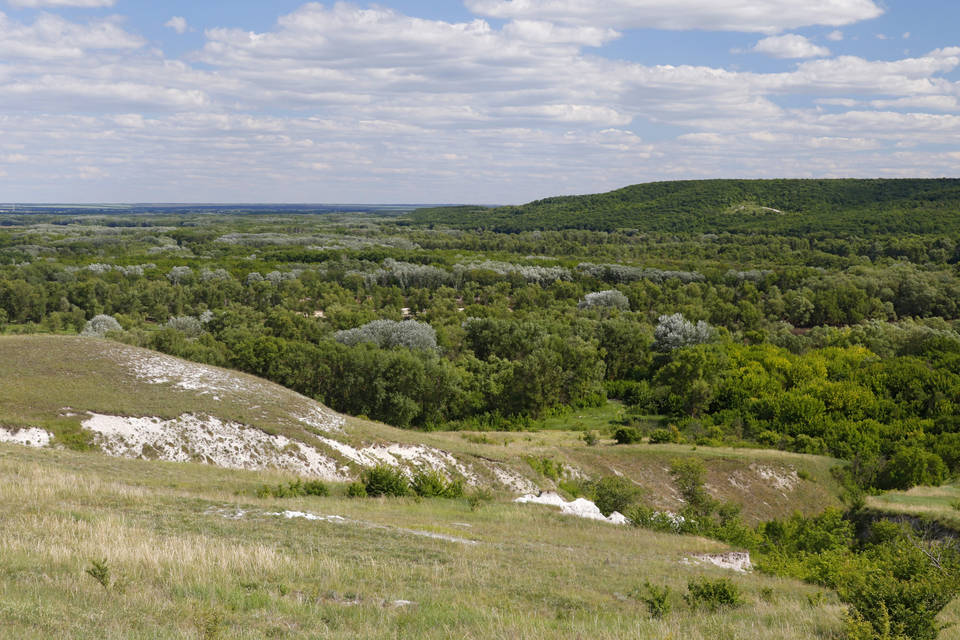 Волгоградские ученые приняли участие в составлении книге «Культурная флора 2025»