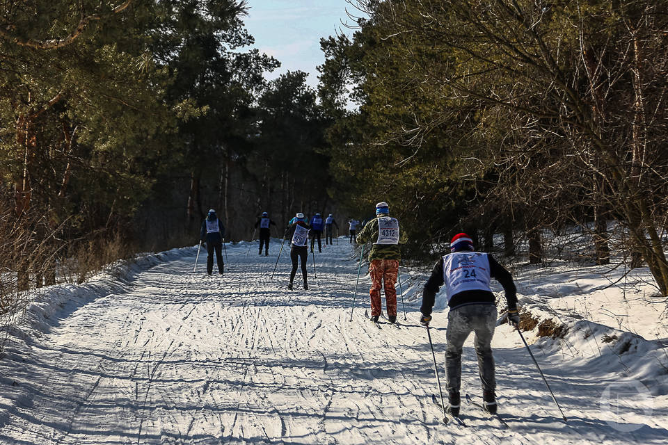 Лыжный забег устроят под Волгоградом