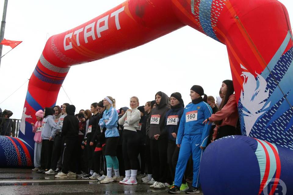 Фото: Матвей Горбунов / "Городские вести"