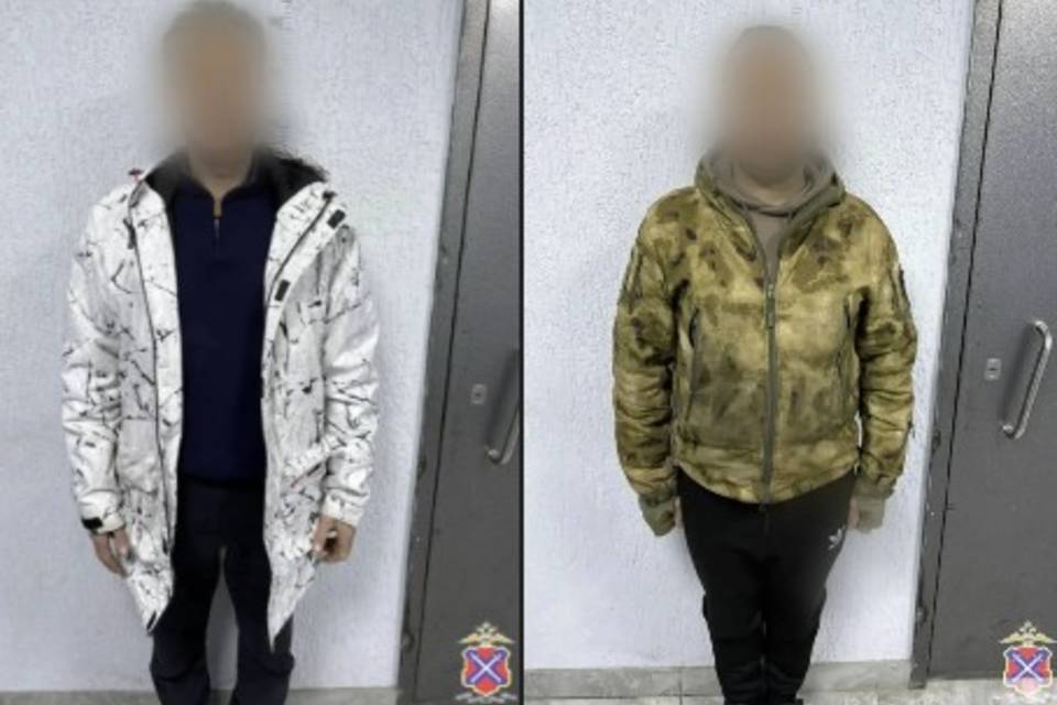 Полицейские поймали хулиганов, ломающих двери подъездов в Волгограде