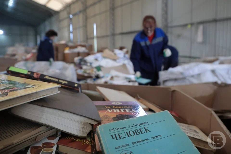 Волгоградцев ждут с килограммами и тоннами макулатуры