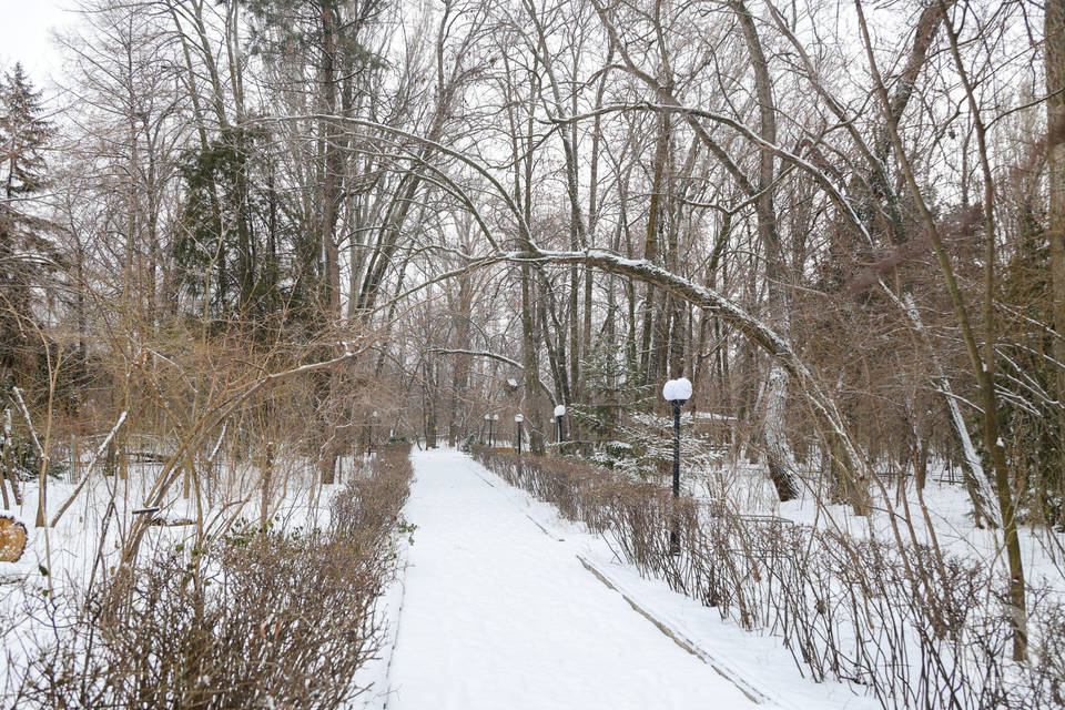 Трое пропавших волгоградцев найдены мертвыми