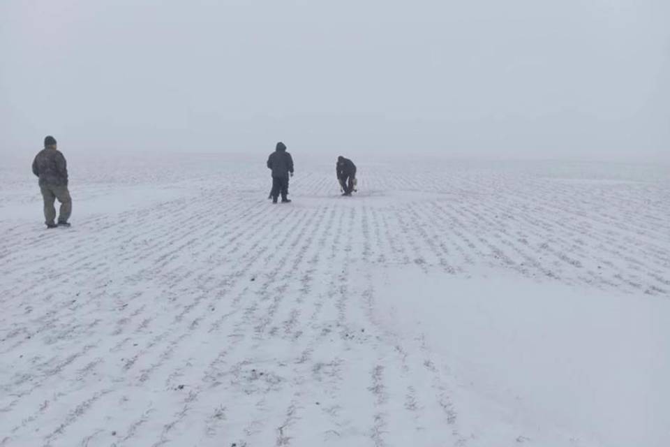 Состоянию озимых культур на полях Волгоградской области дали оценку