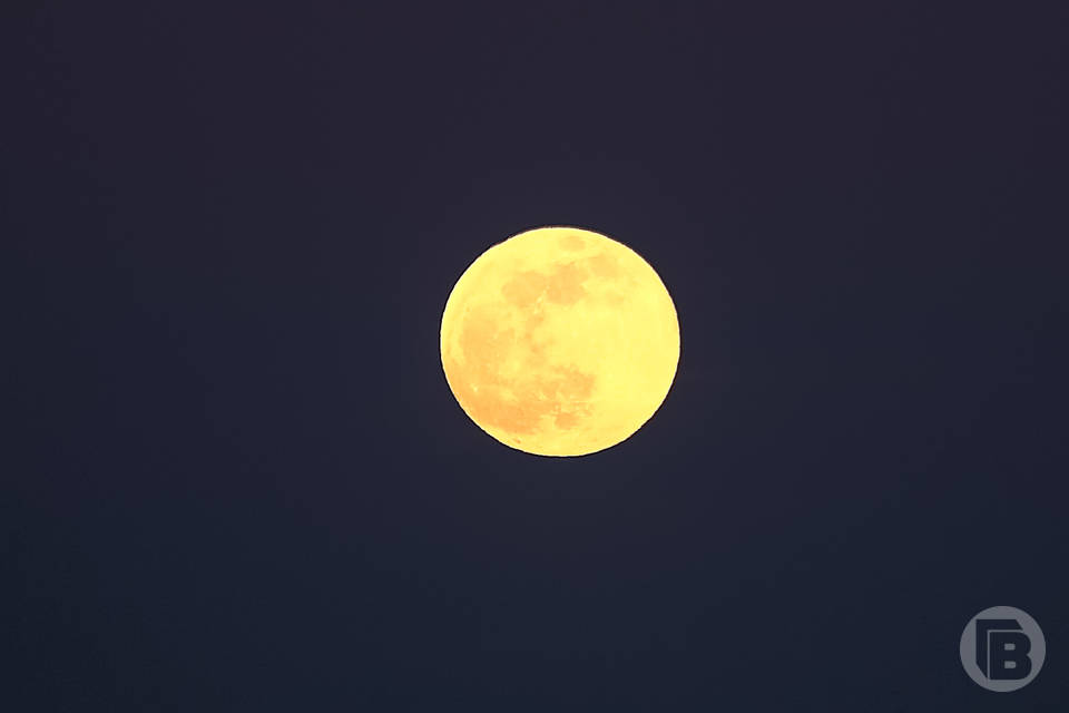 Сбер рассказал о самых необычных залогах, которые компании предлагали в обеспечение кредитов в 2025 году