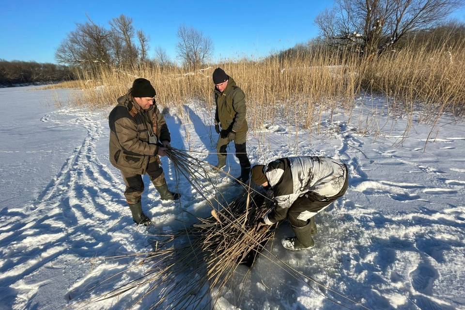 В Волгоградской области экологи спасают рыбу от кислородного голодания