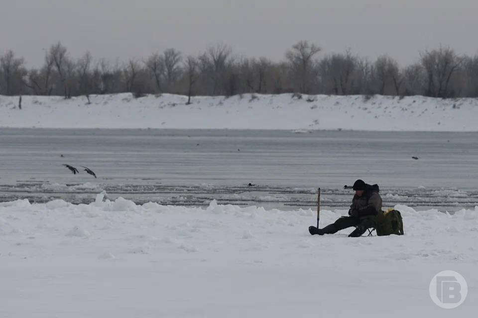На водоемах Волгоградской области спасают рыбу от замора