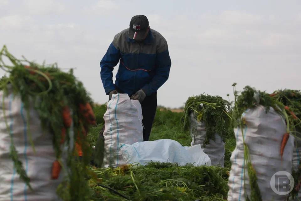 В Волгоградской области фермер больше года держала работника впроголодь
