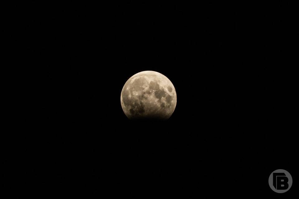 Кольцеобразное солнечное затмение смогут удаленно узреть волгоградцы 17 февраля