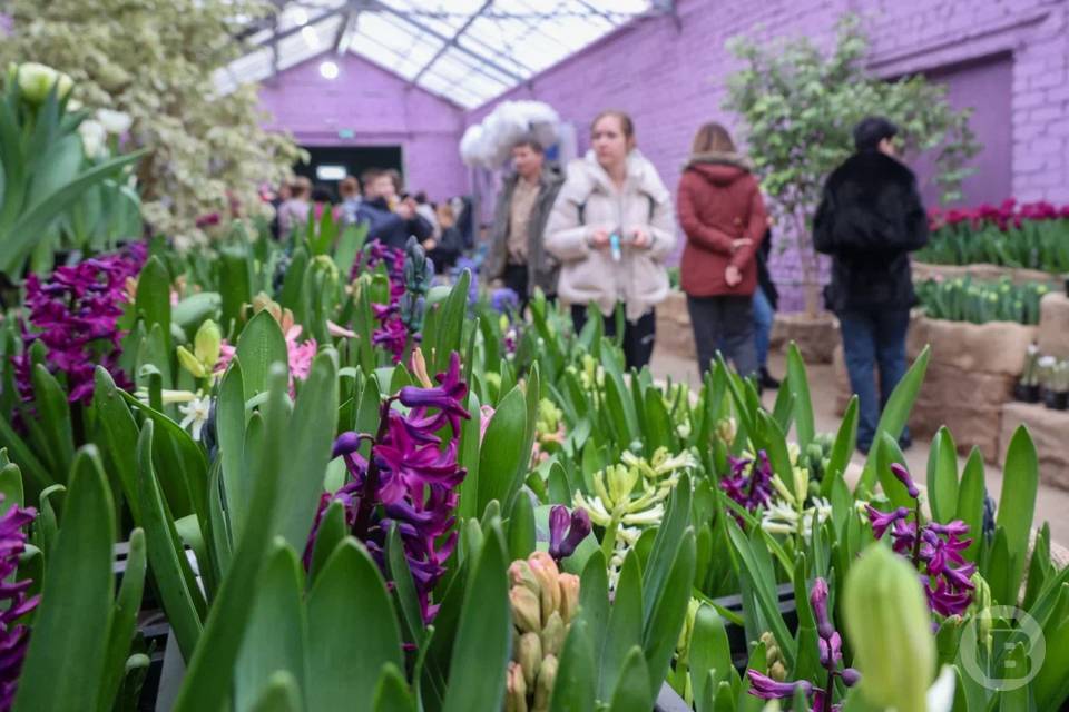Фото: Дмитрий Рогулин/"Городские вести"