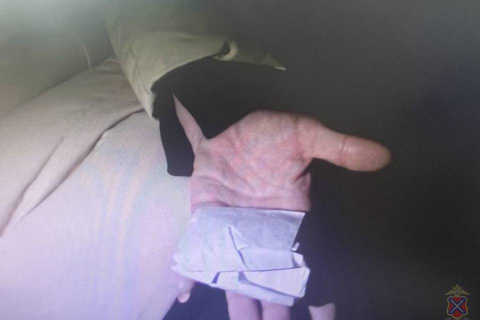 Сбытчику наркотиков под Волгоградом грозит до 15 лет тюрьмы