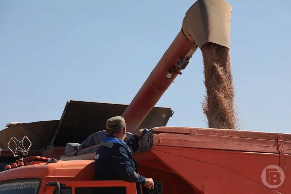 89 тонн семян неправильно списали фермеры из Волгоградской области