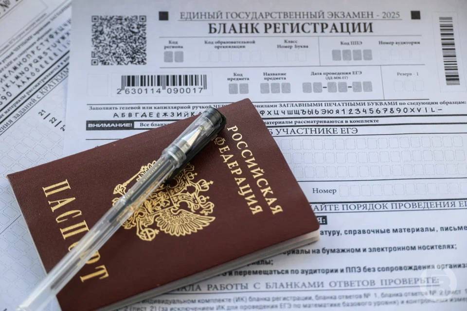 Названы топовые предметы сдачи ЕГЭ-2026, выбранные волгоградскими выпускниками
