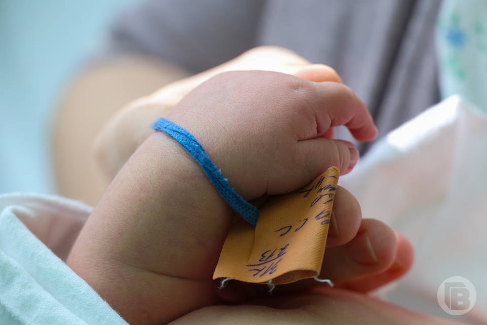 8,5 тыс. сертификатов на материнский капитал оформили в Волгоградской области