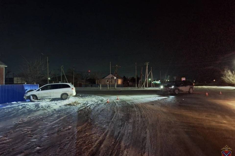 Два японца столкнулись под Волгоградом