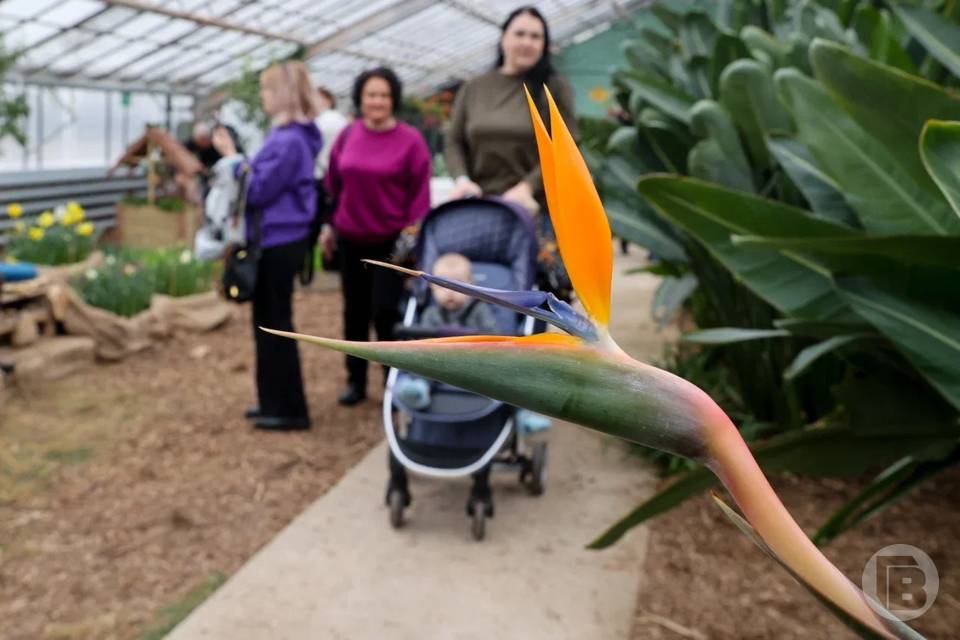 Народные приметы на 11 февраля: что нельзя делать в Лаврентьев день