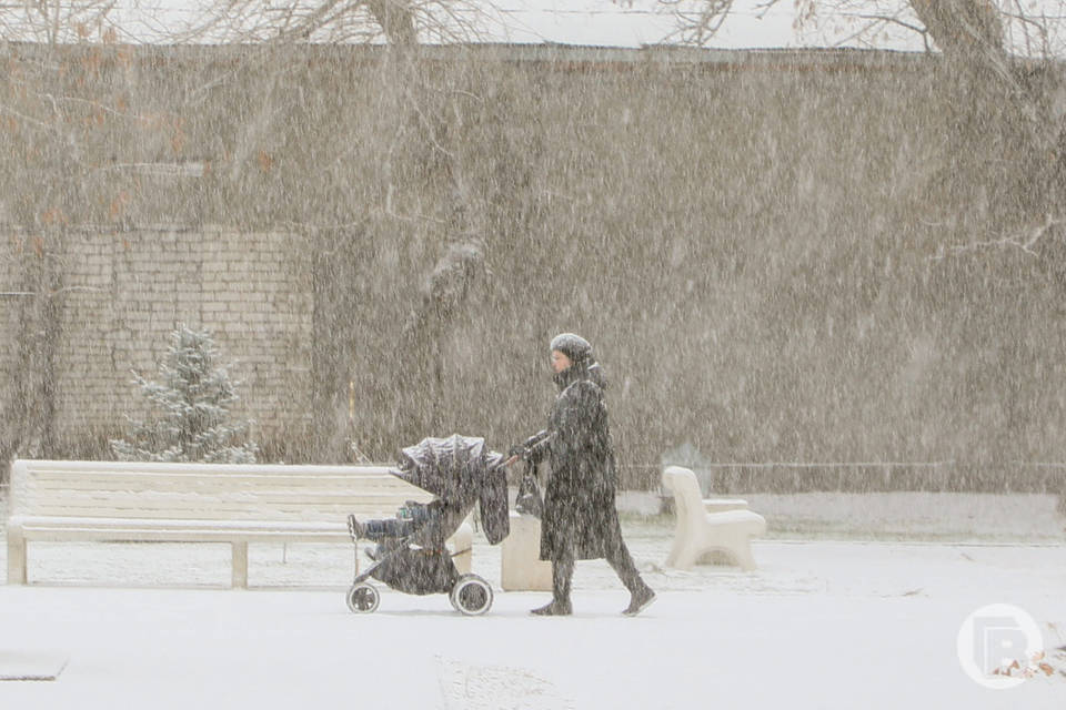 Многодетные волгоградцы могут получить выплату в 89 тысяч рублей