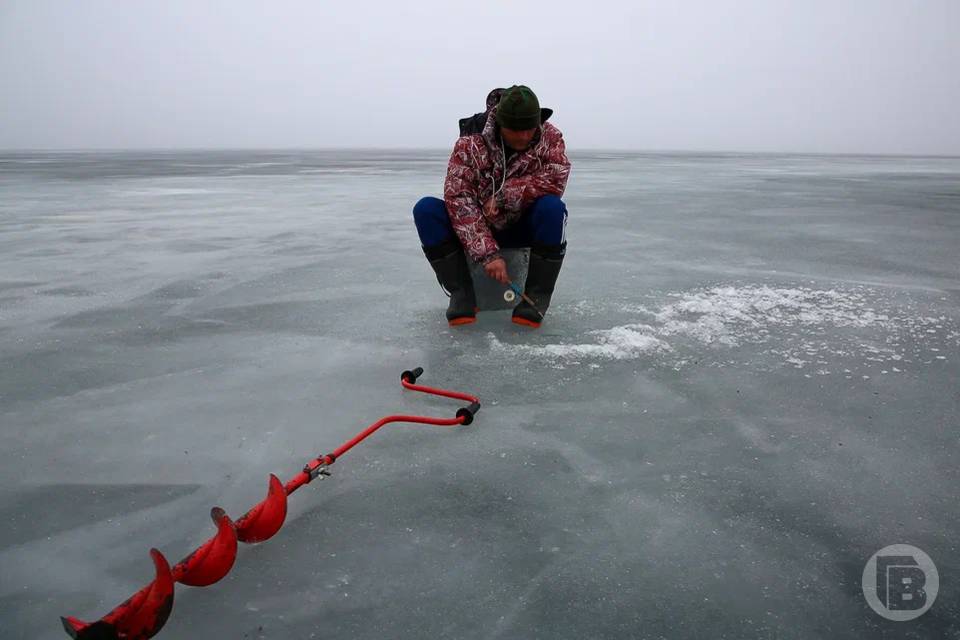 Фестиваль «Серебряная мормышка» проведут в Волгоградской области