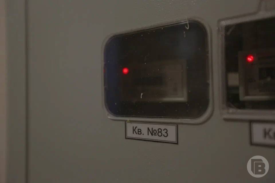 Жителя Волгоградской области поймали на воровстве электроэнергии