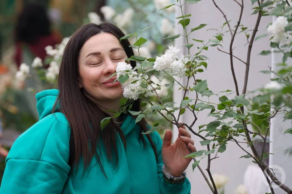 Приметы 12 февраля: как провести Васильев день без проблем